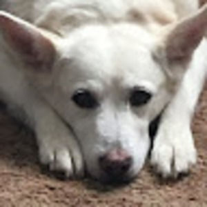 Meet your Posher, Jazlyn